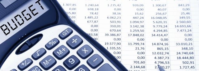 budget analyst job description